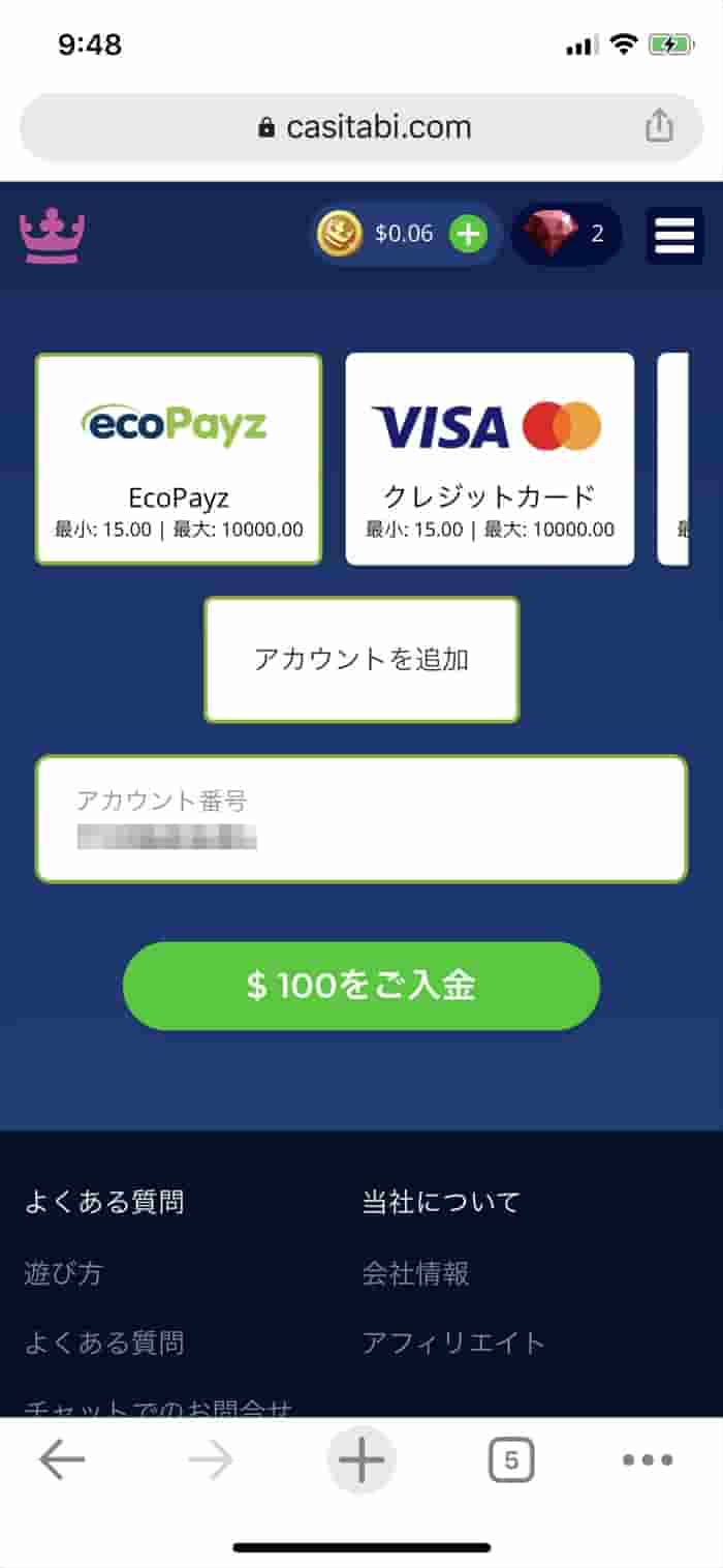 ぺイズ（旧エコぺイズ）を選択した画面