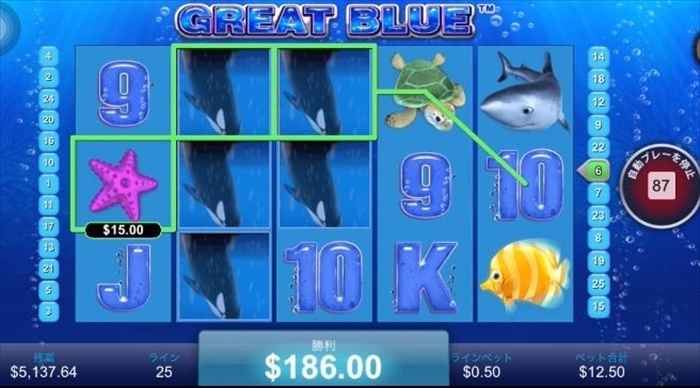 シャチ1.8本絡み シャチ1.8本絡み