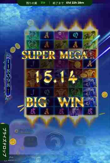 フリスピリザルト画面