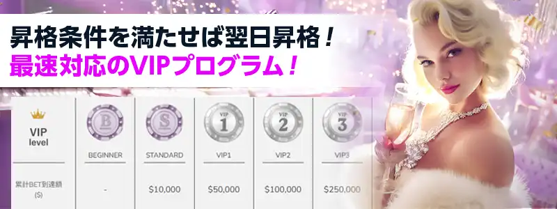 即日最高レベルも可能!降格なしのVIP制度