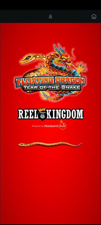 Floating Dragon Year of The Snake