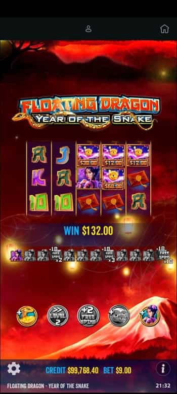 リールを持ち上げワイルドを持ってくる