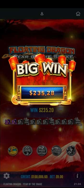 253ドルのビッグウィン