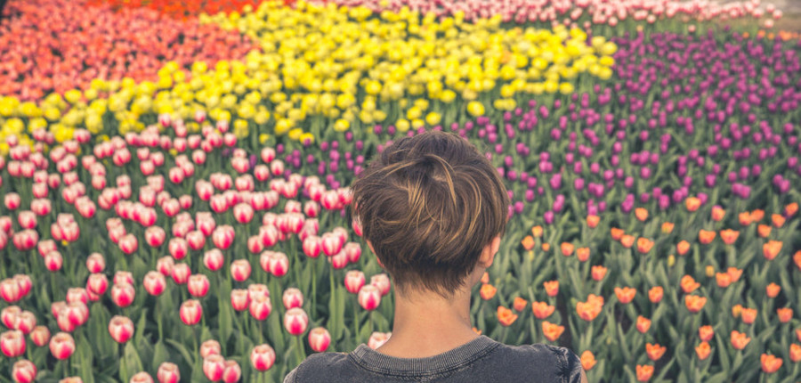 Play'n GOはアニメ調のスロットや神話モチーフのゲームで有名な大手プロバイダ